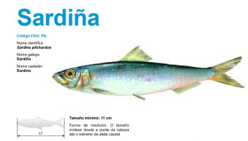 PescadeRias
