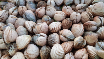 PescadeRias