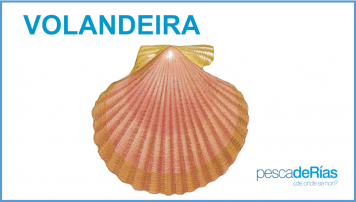 PescadeRias