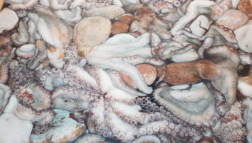 PescadeRias