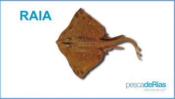 PescadeRias
