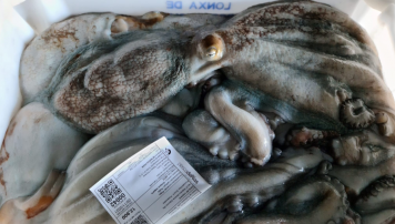 PescadeRias