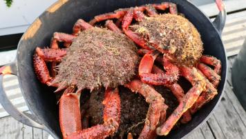 PescadeRías