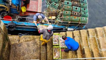 PescadeRias