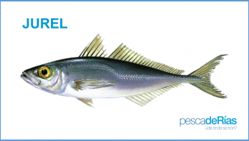 PescadeRias