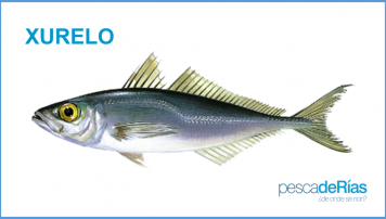 PescadeRias