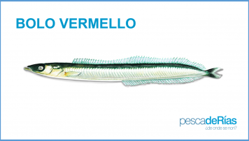 PescadeRías