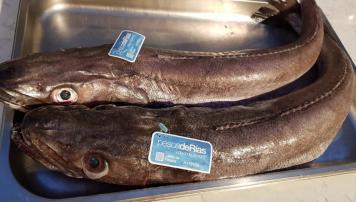 PescadeRias