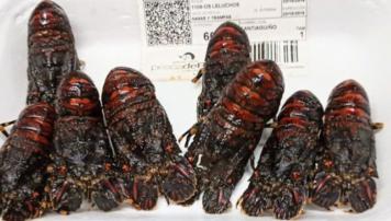 PescadeRias