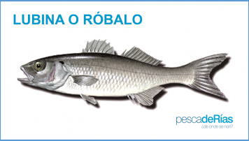 PescadeRias