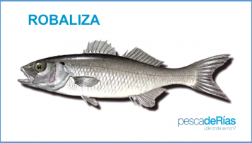 PescadeRias