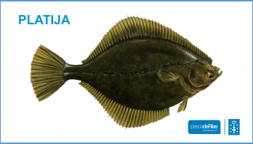 PescadeRias