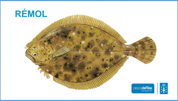 PescadeRias