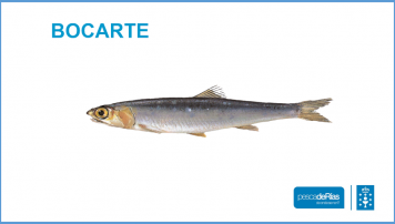 PescadeRias