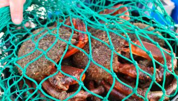 PescadeRias