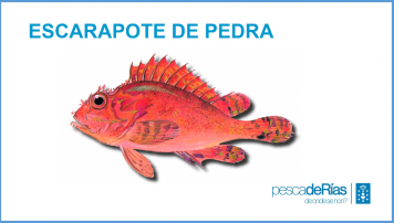 PescadeRias