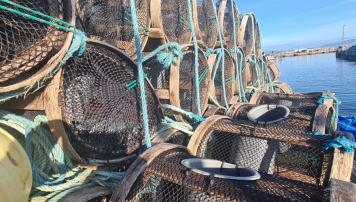 PescadeRias