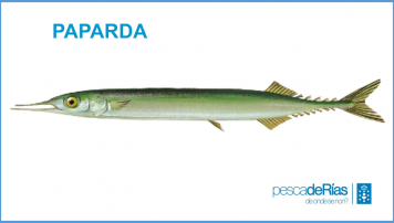 PescadeRias