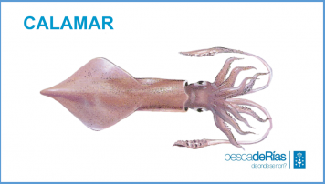 PescadeRias