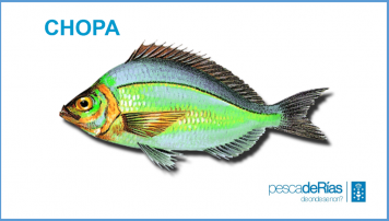 PescadeRias
