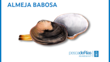 pescadeRias