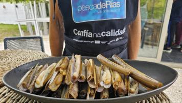 pescaDerias