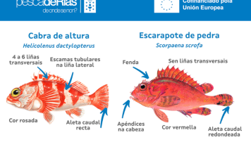pescaDerias
