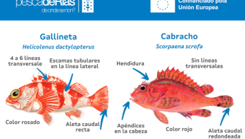 pescaDerias