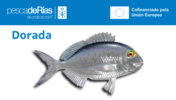 pescadeRias