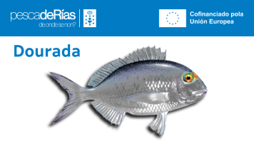 pescadeRias