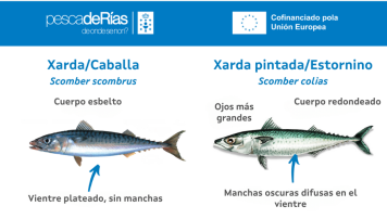 pescadeRias