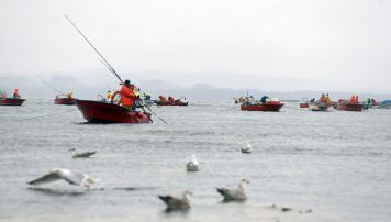 pescadeRias