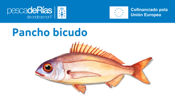 pescadeRias