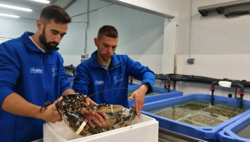 pescadeRias