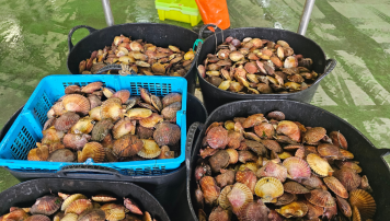 pescadeRias