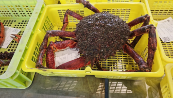 pescadeRias