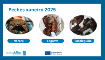 pescadeRias