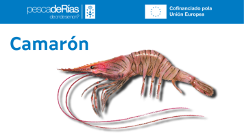 pescadeRias
