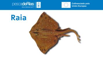 pescadeRias