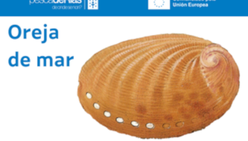 pescadeRias
