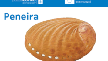 pescadeRias