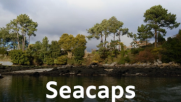 pescadeRias