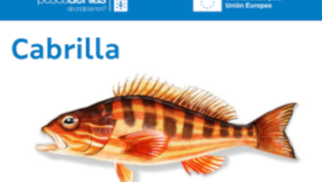 pescadeRias
