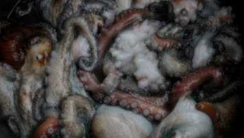 pescadeRias