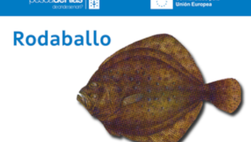pescadeRias