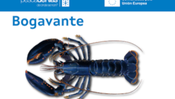 pescadeRias