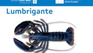 pescadeRias