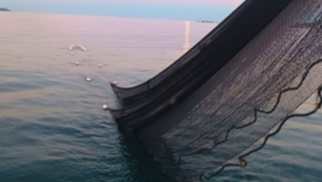 pescadeRias