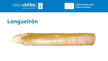pescadeRias