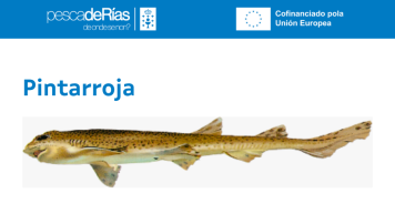 pescadeRias